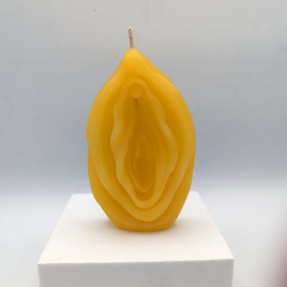Genitali caldi fiammeggianti - La cera della vulva e del pene gioca con le candele